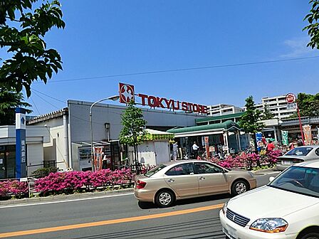 東急ストア梶ヶ谷店まで約750m!