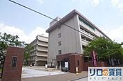 私立大阪成蹊大学 1246m