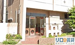 11 / 18
