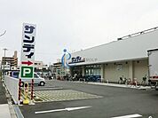 サンディ平野背戸口店 213m