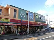 食品館アプロたつみ店 233m