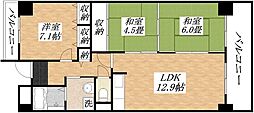 セレッソ今川 3LDKの間取図画像
