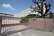 名古屋市立清水小学校 254m