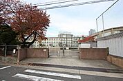牧野小学校 262m
