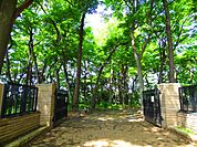 区立三井の森公園