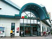 ダイソーマルエツ 足立入谷店（997m）