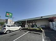 マルエツ 伊興店（530m）