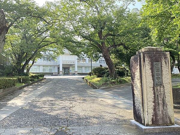 周辺を拡大表示