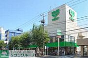 サミットストア鷺宮店 464m