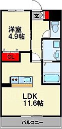パラディーゾ 1階/-