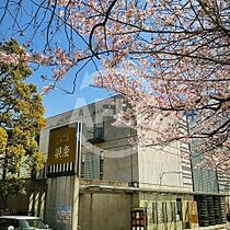 インターシティ夕陽ヶ丘  ｜ 大阪府大阪市天王寺区四天王寺1丁目（賃貸マンション2LDK・10階・55.00㎡） その16