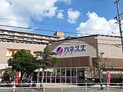 カネスエ木場店【カネスエ木場店】夜は21時まで営業しています。新鮮な野菜やお肉、お魚がお値打ちに購入できます。駐車場も広いのでお車でのお買い物にもいいですね。2階には100円ショップもあります…