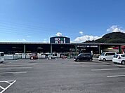 ホームワイド溝陸店 徒歩5分。 380m