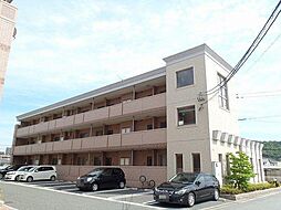 🉐敷金礼金0円！🉐セントラル・アンフィニティＤ