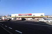 プロマート