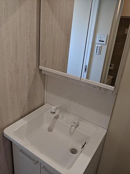 洗面化粧台には、シャワー水栓あります。(写真は、2021年購入時)