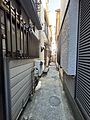 玄関前通路（共...