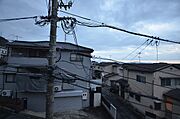 写真は別号室のものです。