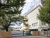 練馬区立練馬第三小学校（580m）