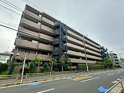 アドリーム蓮根
