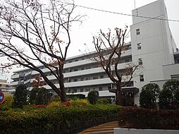 コンド向原