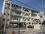 中津小学校 556m