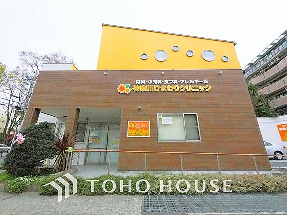 神奈川ひまわり...