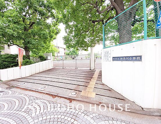 横浜市立神奈川...