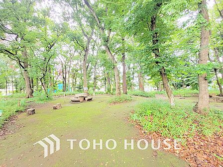 緑ヶ丘みんなの森 距離1000m
