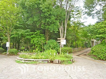 茅ケ崎公園 距離260m