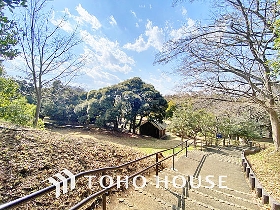 根岸森林公園　...