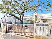 横浜市立篠原小学校　距離800m