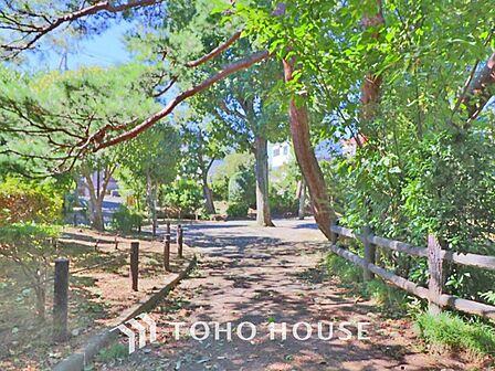 つつじヶ丘公園 距離850m