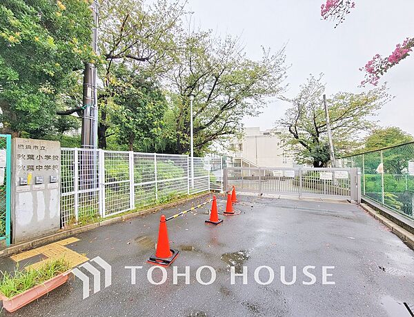 周辺を拡大表示
