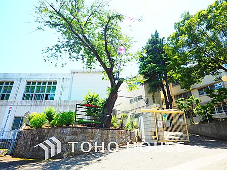 川崎市立生田中学校 距離1100m