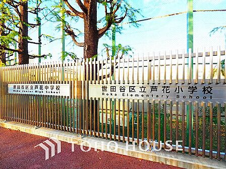 世田谷区立芦花中学校 距離230m