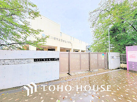 川崎市立百合丘小学校　距離550ｍ