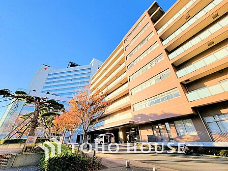 日本赤十字社医療センター 距離1000m