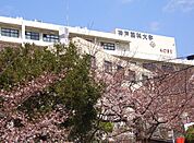 私立神戸薬科大学（2068m）