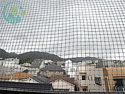ワコーレフット篠原（ネット無料、洗濯機付）