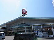 コメリ（138m）