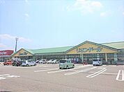 リオンドール燕北店まで約300ｍです。 2200m