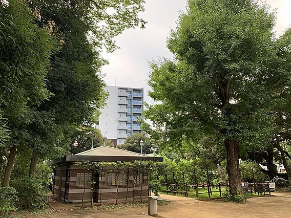 蚕糸の森公園か...