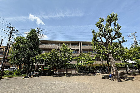 目の前の公園から撮影