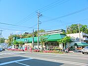 ＦＵＪＩ上中里店　約360ｍ