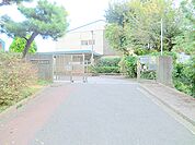 横浜市立芹が谷小学校　約800ｍ