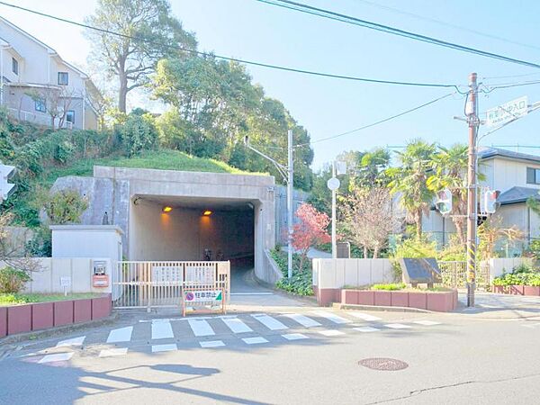 周辺を拡大表示