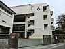 周辺：横浜市立森中学校　約800ｍ
