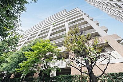 外観:外観 外観:外観