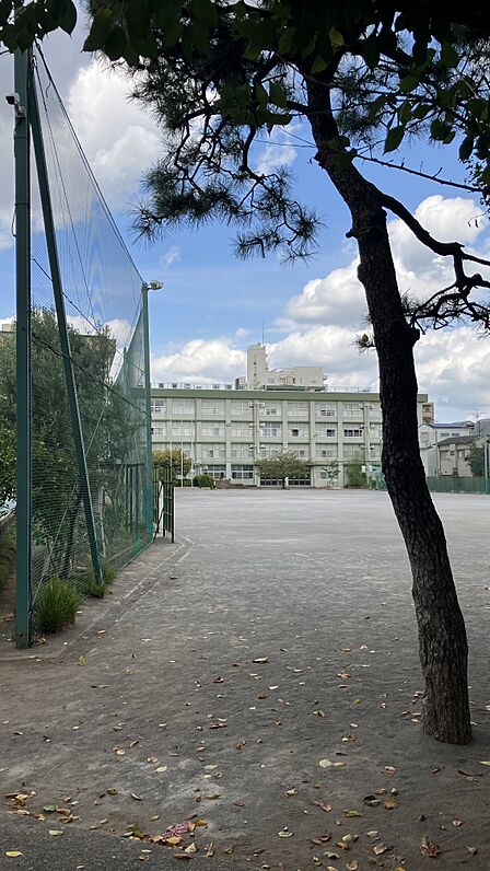 練馬区立練馬第二小学校 (190m)